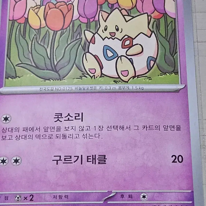 [BUNJANG] Pokemon Togepi Trading Card / [최저가] 포켓몬카드 토게피