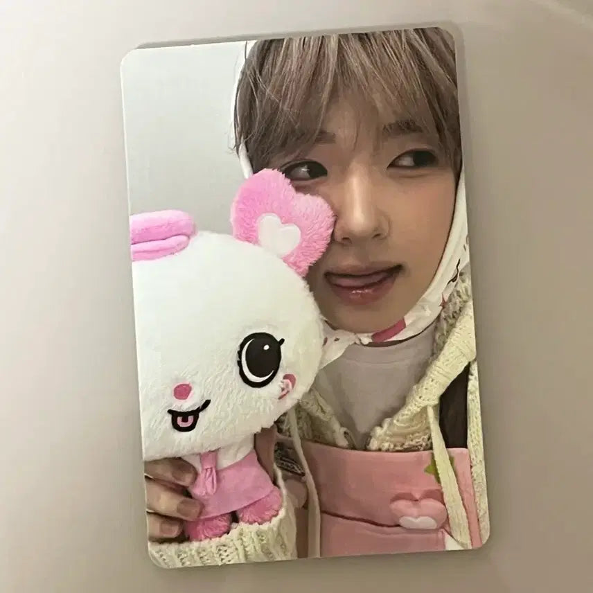 [BUNJANG] NCT WISH Bakery MD TRECA Sakuya / 엔시티위시 베이커리 엠디 트레카 사쿠야