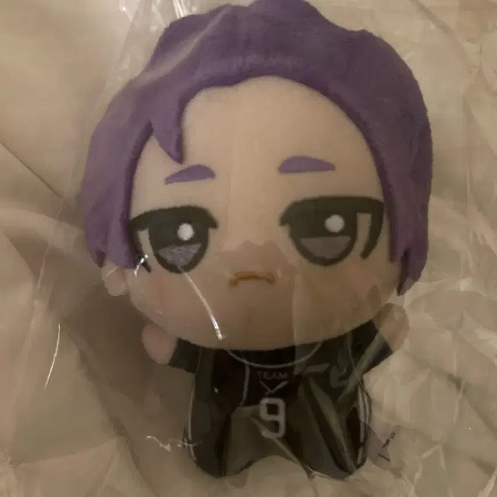 [BUNJANG] Blue Lock Nagi Seishiro Chibi Plush Doll / 급처/ 블루록 레오 치비누이 인형 1.3