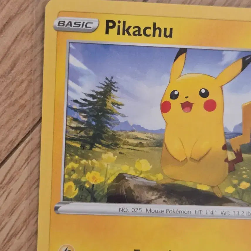 [BUNJANG] Pokemon Pikachu Halloween Limited Edition Promo Card (North American Exclusive) / [북미한정/프로모] 포켓몬 카드 피카츄 할로윈 한정판 프로모카드
