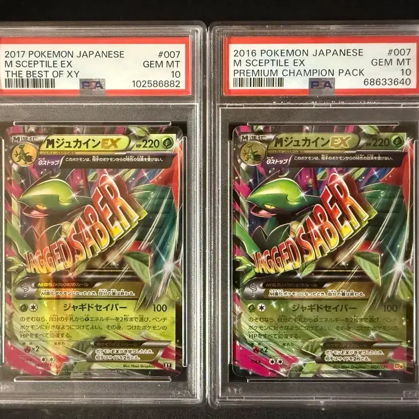[BUNJANG] Pokemon Card Mega Sceptile PSA 10 Bundle Set / 포켓몬카드 일판 메가나무킹 psa10 일괄 판매