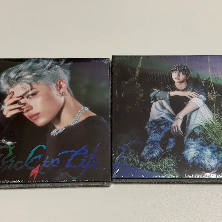 [BUNJANG] ENHYPEN Back to Life Bundle Set Maki Iju / [일괄] 앤팀 백투라 back to life 미개봉 마키 의주 + 위온파 타키 마키 미공포