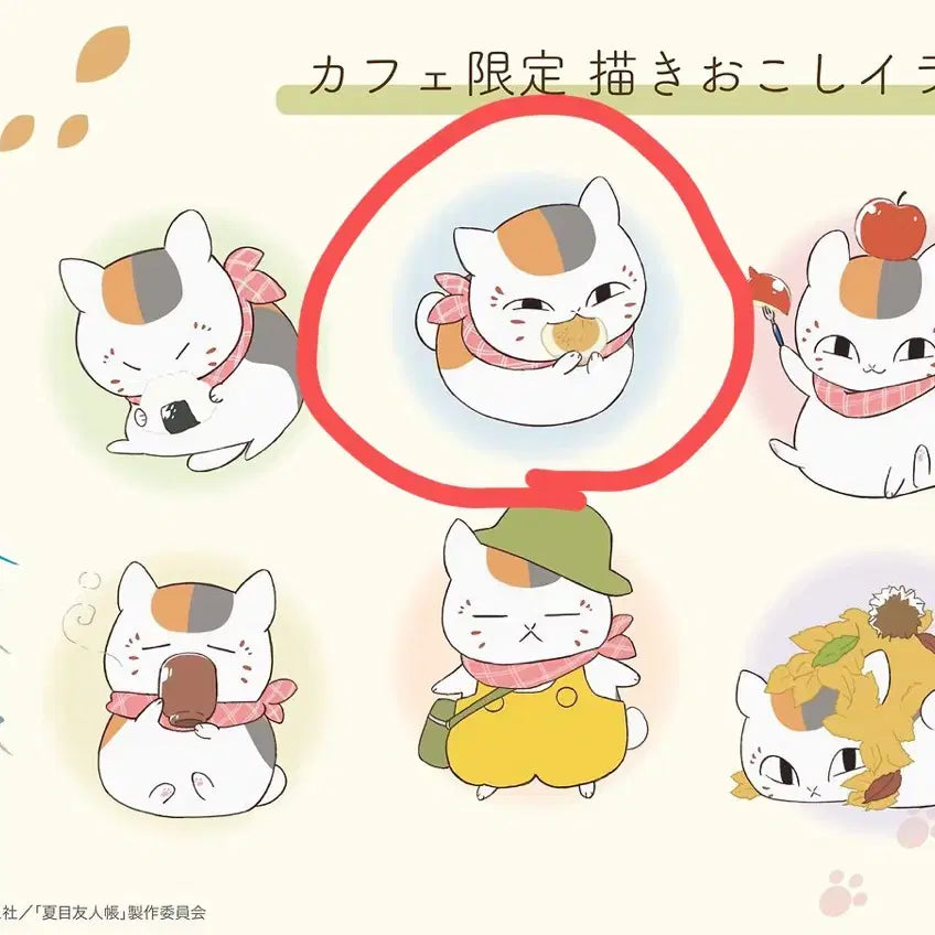 [BUNJANG] Natsume&
