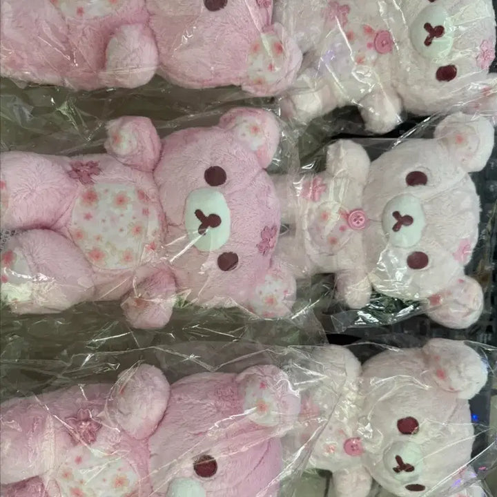 [BUNJANG] San-X Rilakkuma Korilakkuma 13cm Cherry Blossom Theme Plush Set (2 Types) / 산엑스 정품 리락쿠마 코리락쿠마 13cm벚꽃 테마 인형 2종세트 새상품