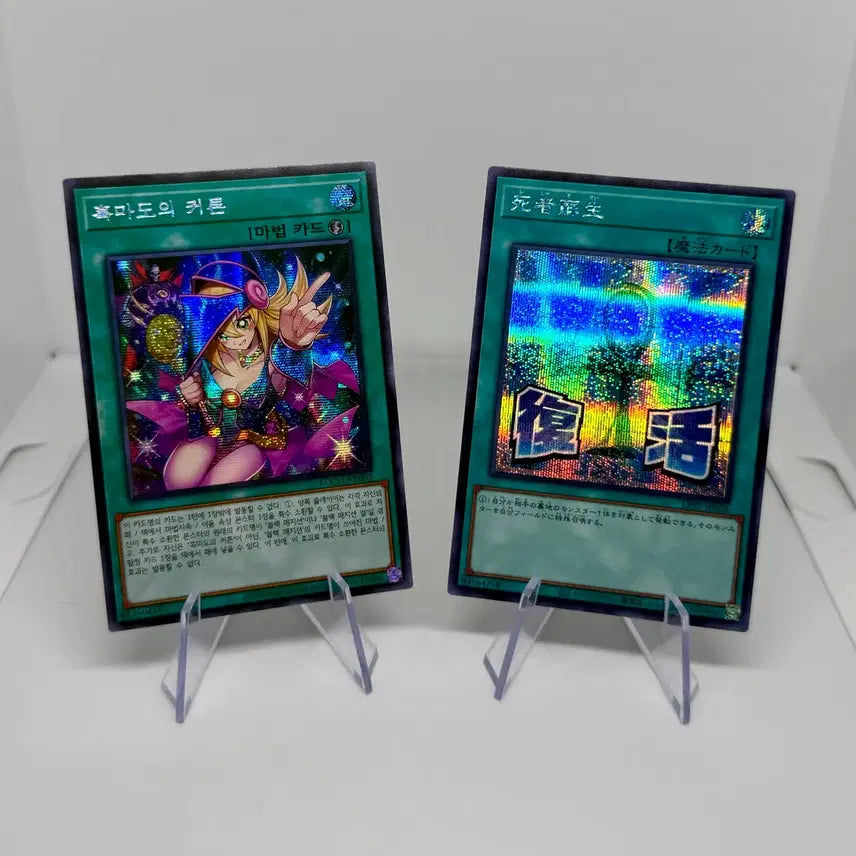[BUNJANG] Yu-Gi-Oh! Dark Magician&