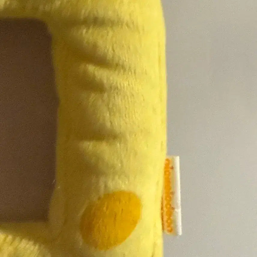 [BUNJANG] SpongeBob SquarePants Doll Frame / 스폰지밥 인형 액자