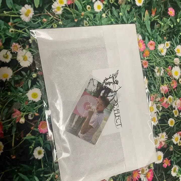 [BUNJANG] Park Ji Hoon Official MD Chiffon Poster (Type B) / 박지훈 공식 MD 쉬폰포스터 (B타입)