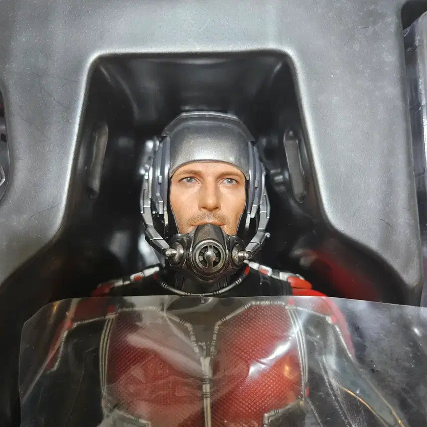 [BUNJANG] Hot Toys Ant-Man 1 Figure / 핫토이 앤트맨1 판매