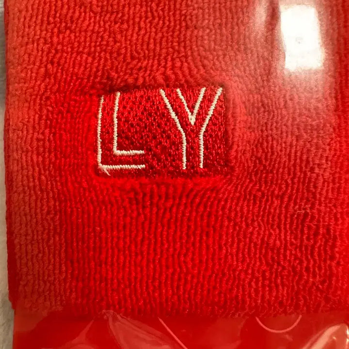 [BUNJANG] BTS Love Yourself World Tour MD Wristband / BTS 럽셀투어 md 아대