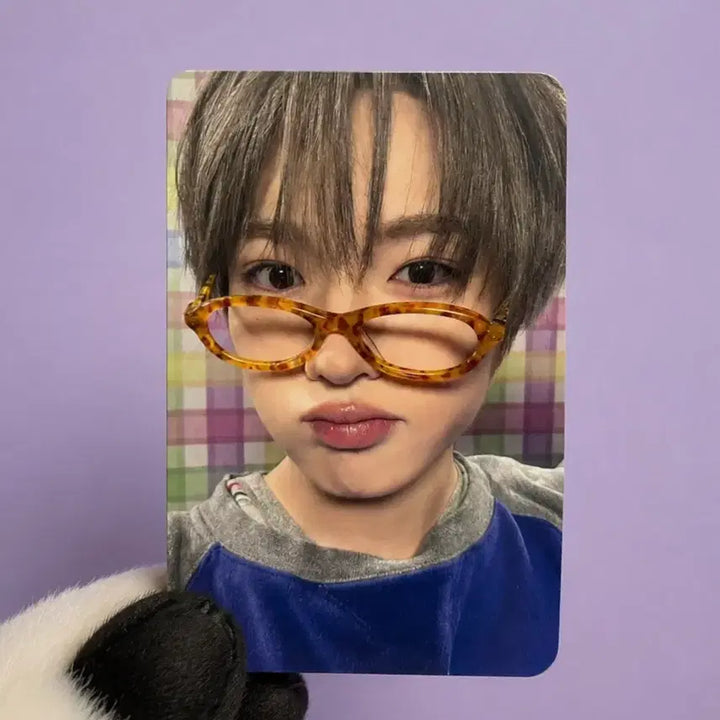 [BUNJANG] NCT WISH Sakuya Yo-i-do Japanese Album Photocard / NCT WISH 엔시티 위시 사쿠야 요이동 일본 앨범 안경 포카 요이돈