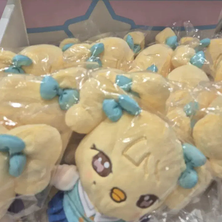 [BUNJANG] Everland Nuri Sealed Plush / 에버랜드 나오리 정가 판매 합니다.