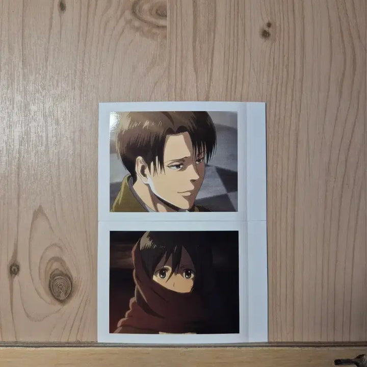 [BUNJANG] Attack on Titan Shingeki no Kyojin Levi Mikasa Pascha Kore Bundle Set / 진격의거인 파샤코레 리바이, 미카사 일괄