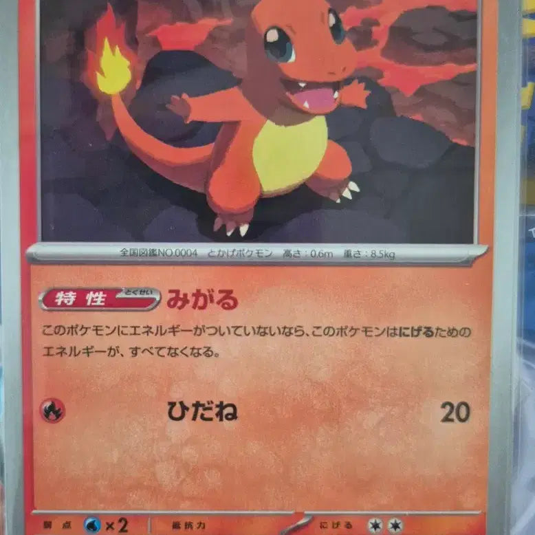 [BUNJANG] Pokemon Cards Japanese Set - Charmander, Magmar, Gothorita, Mega Mawile, Dustox, Golbat Bundle / 포켓몬카드 일판 파이리 펄스멍 치라미 명희 메가플라엣테 깨붕이 더스트나 골벳 일괄