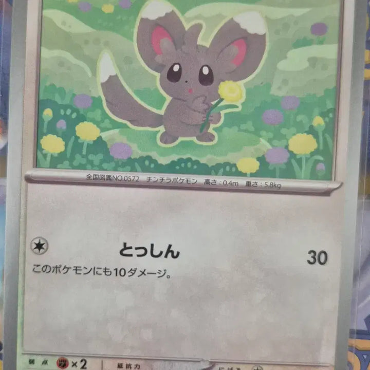 [BUNJANG] Pokemon Cards Japanese Set - Charmander, Magmar, Gothorita, Mega Mawile, Dustox, Golbat Bundle / 포켓몬카드 일판 파이리 펄스멍 치라미 명희 메가플라엣테 깨붕이 더스트나 골벳 일괄