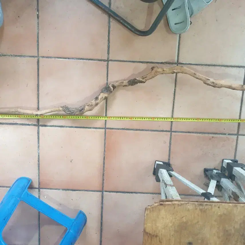 [BUNJANG] Persimmon Wood Walking Stick / 감태나무지팡이