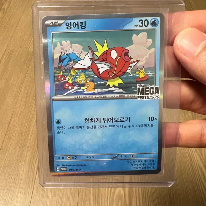 [BUNJANG] Magikarp Promo Card MGA Festa 2026 Event / 잉어킹 프로모카드 판매