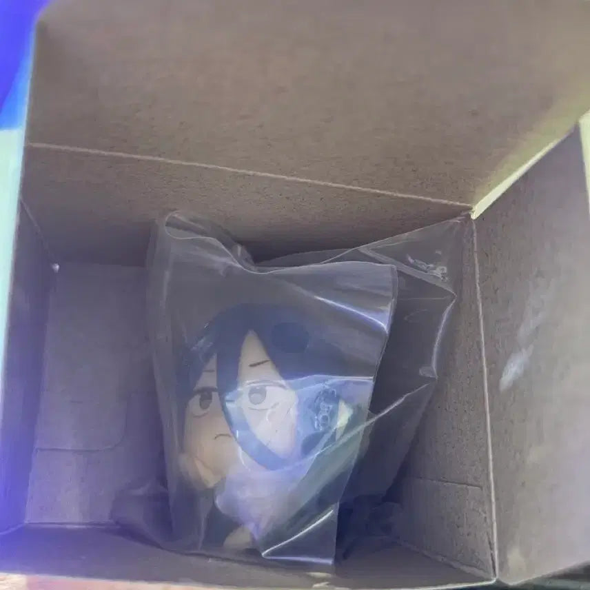 [BUNJANG] Winbre Liracolo Sugishita Merchandise / 윈브레 리라코로 스기시타
