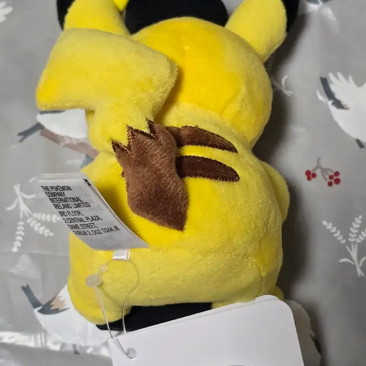 [BUNJANG] Pokemon Center TCG Pikachu Plush Keychain with Coin Holder / 포켓몬센터 Tcg 디스플레이 피카츄 인형 키링 피카츄 코인보관키링