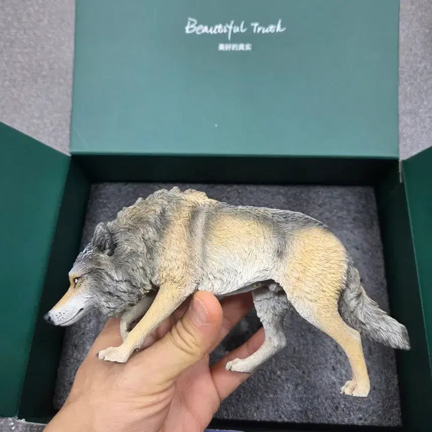 [BUNJANG] JXK 1/6 Scale North American Gray Wolf Figure (Brown) / JXK - 1/6 North American Gray Wolf 늑대 브라운