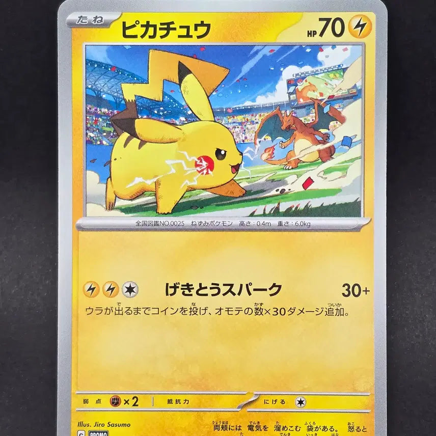 [BUNJANG] Pikachu &amp; Charizard Gym Promo Card Bundle Set / 체육관 프로모 카드 일괄