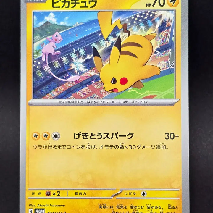 [BUNJANG] Pikachu &amp; Charizard Gym Promo Card Bundle Set / 체육관 프로모 카드 일괄