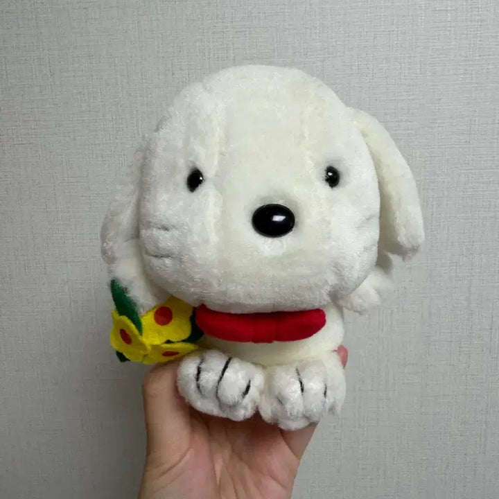 [BUNJANG] Sanrio Peter Rabbit Classic Dog Plush / 산리오 고전 피터 데이비스 강아지 인형