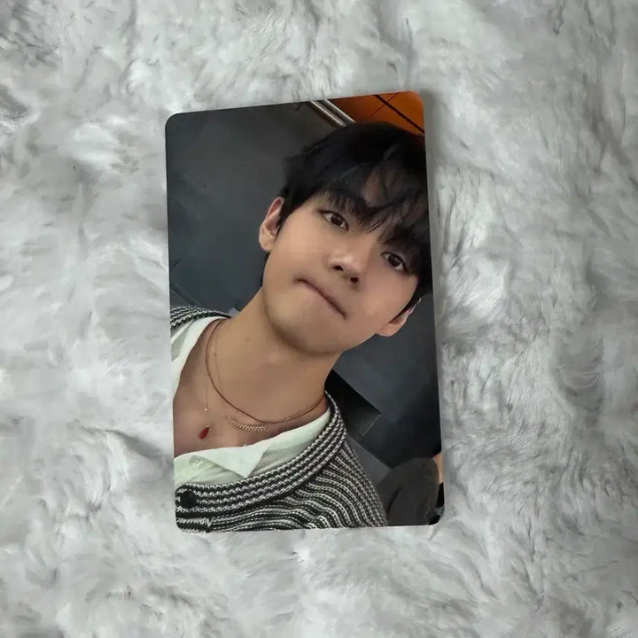 [BUNJANG] BTS V Arirang Weverse Japan Photocard / 아리랑 위버스 재팬 뷔