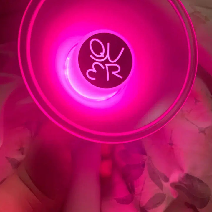 [BUNJANG] QWER Official Light Stick / QWER 응원봉