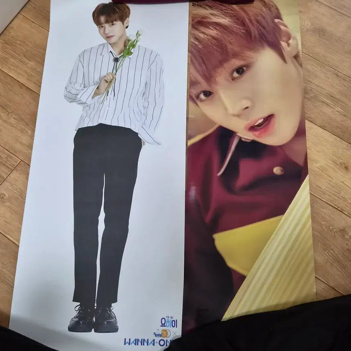 [BUNJANG] Park Jihoon Yohai Gmarket Poster Set / 박지훈 요하이 지마켓 포스터