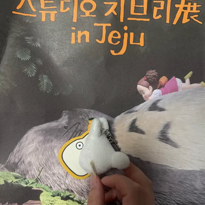 [BUNJANG] Ghibli Jeju Limited Edition Hallabong Sotororo Keyring / 지브리 제주 한정 한라봉 소토토로 키링