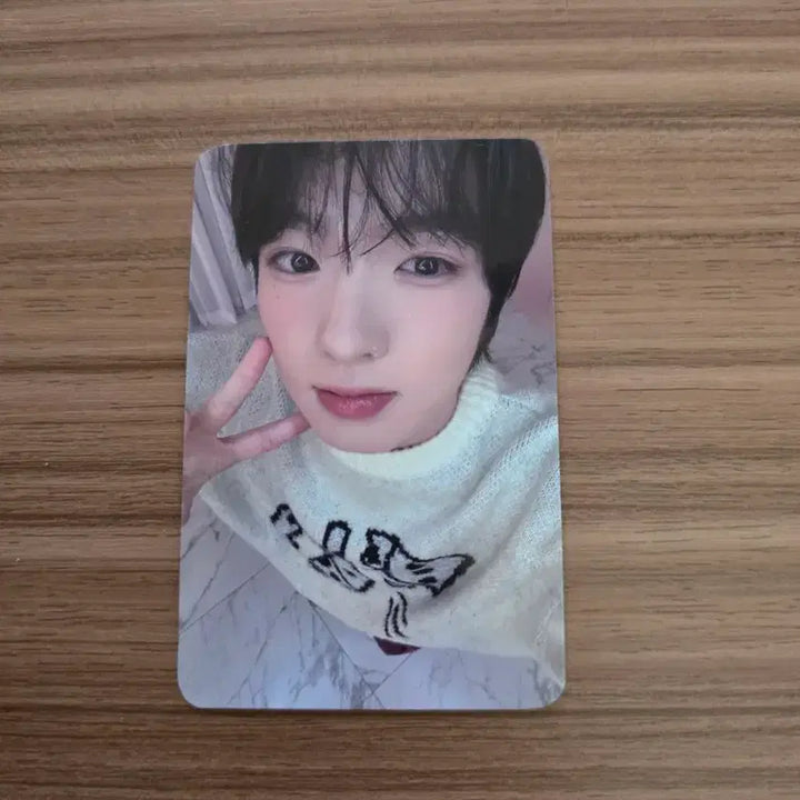 [BUNJANG] NCT WISH Sakuya Steady Jump Up POB Photocard / 엔시티위시 사쿠야 steady 점프업 특전 포토카드 양도