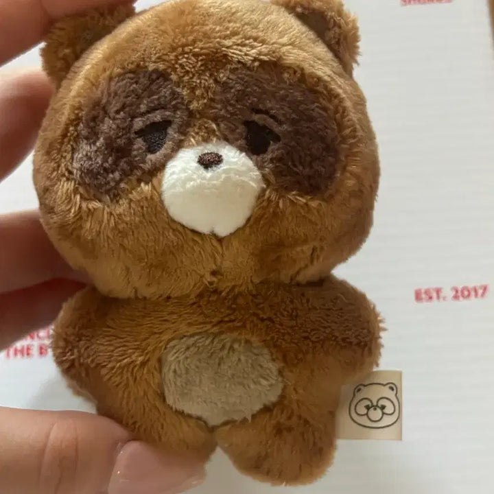 [BUNJANG] The Boyz Sunwoo Doll Jjokuri (Minor Unsealing) / 더보이즈 선우 인형 떤구리 쪼구리 단순개봉