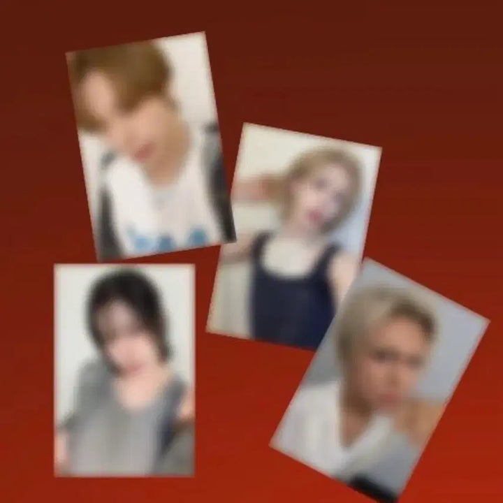 [BUNJANG] XLOV Over The Rainbow Cafe Photocard Set / 엑스러브 XLOV 오버더레인보우 카페 포카 세트