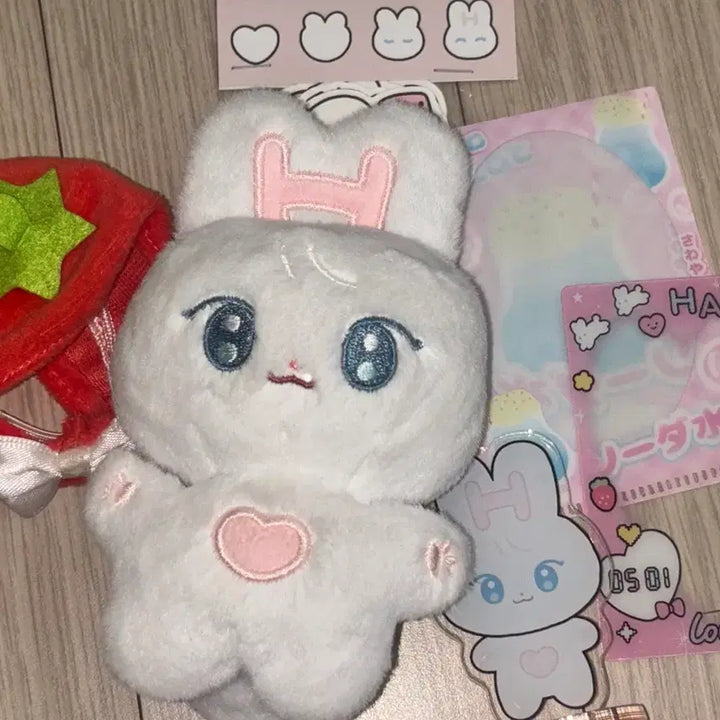 [BUNJANG] RuaBit ENetwork Harua Doll + Photocard Holder Bundle / (인형옷+포카홀더까지 덤 증정) 루아빗 앤팀 하루아 인형 판매