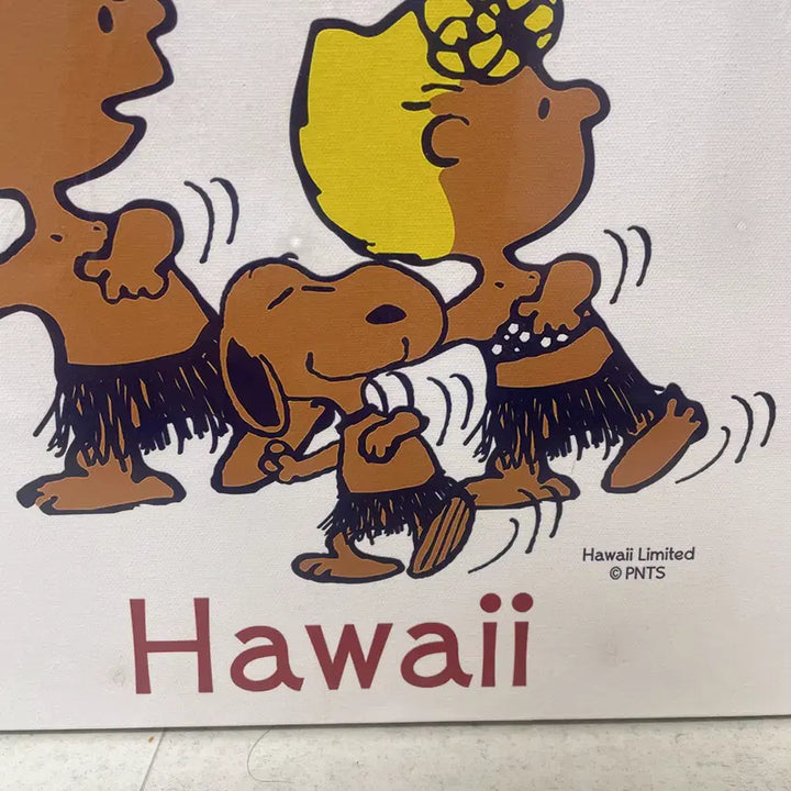 [BUNJANG] Hawaii Limited Aloha Snoopy Canvas Art (35x35cm) / 하와이 한정 ALOHA 스누피 캔버스 아트  Hawaii Limited 35*35cm 민트 컨디션