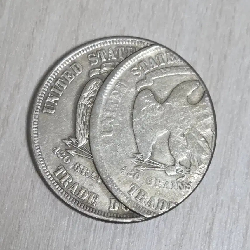 [BUNJANG] 1879 Error Copy Coin / 1879년 발행 에러 카피품