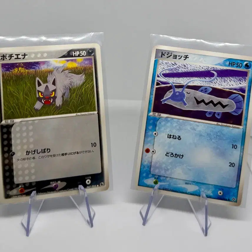 [BUNJANG] Pokemon Card Poochyena C 1st Edition + Mudkip C / [일본판] 포켓몬 카드 포챠나 1st + 미꾸리 C