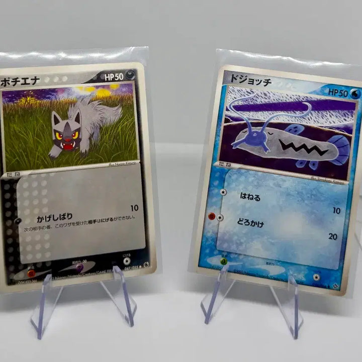 [BUNJANG] Pokemon Card Poochyena C 1st Edition + Mudkip C / [일본판] 포켓몬 카드 포챠나 1st + 미꾸리 C