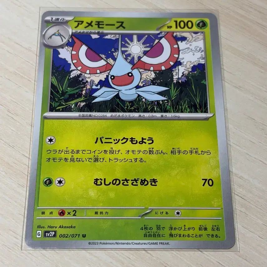 [BUNJANG] Pokemon Japanese Common Cards Bundle Set / 포켓몬카드 / 일반카드 일판 일괄