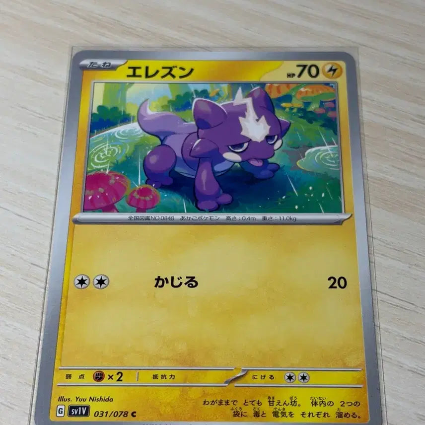 [BUNJANG] Pokemon Cards Japanese Common Bundle Set / 포켓몬카드 / 일판 일반카드 일괄