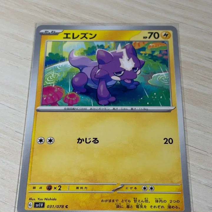 [BUNJANG] Pokemon Cards Japanese Common Bundle Set / 포켓몬카드 / 일판 일반카드 일괄