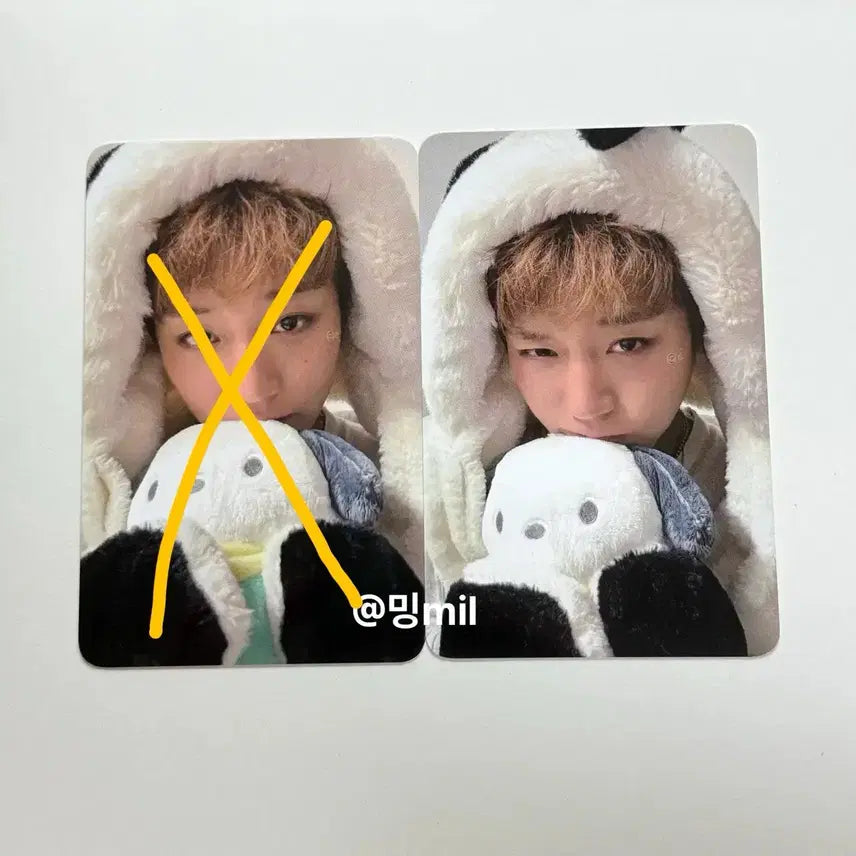 [BUNJANG] Park Ji Hoon Beatroad Pochacco Photocard / 박지훈 비트로드 포차코 포카판매