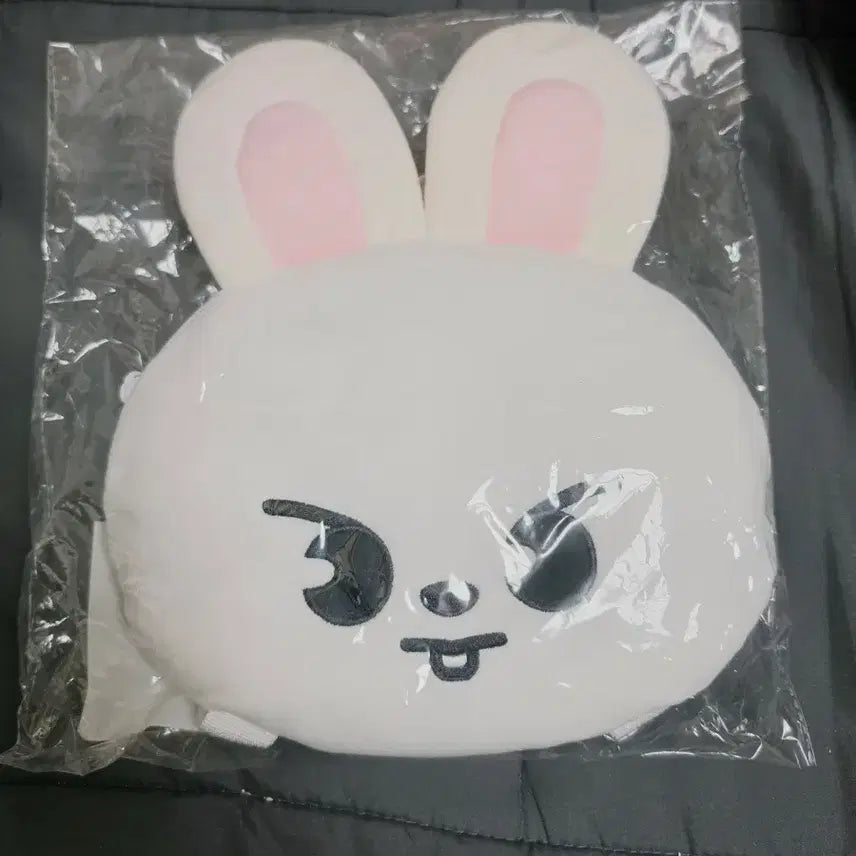 [BUNJANG] Stray Kids Japan MD LeeKnow Ribbit Backpack Bag / 스트레이키즈 일본 MD 리노 리빗 백팩 가방