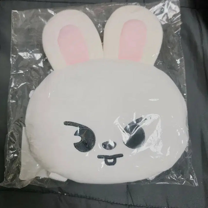 [BUNJANG] Stray Kids Japan MD LeeKnow Ribbit Backpack Bag / 스트레이키즈 일본 MD 리노 리빗 백팩 가방