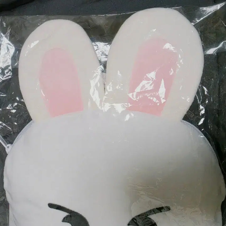 [BUNJANG] Stray Kids Japan MD LeeKnow Ribbit Backpack Bag / 스트레이키즈 일본 MD 리노 리빗 백팩 가방
