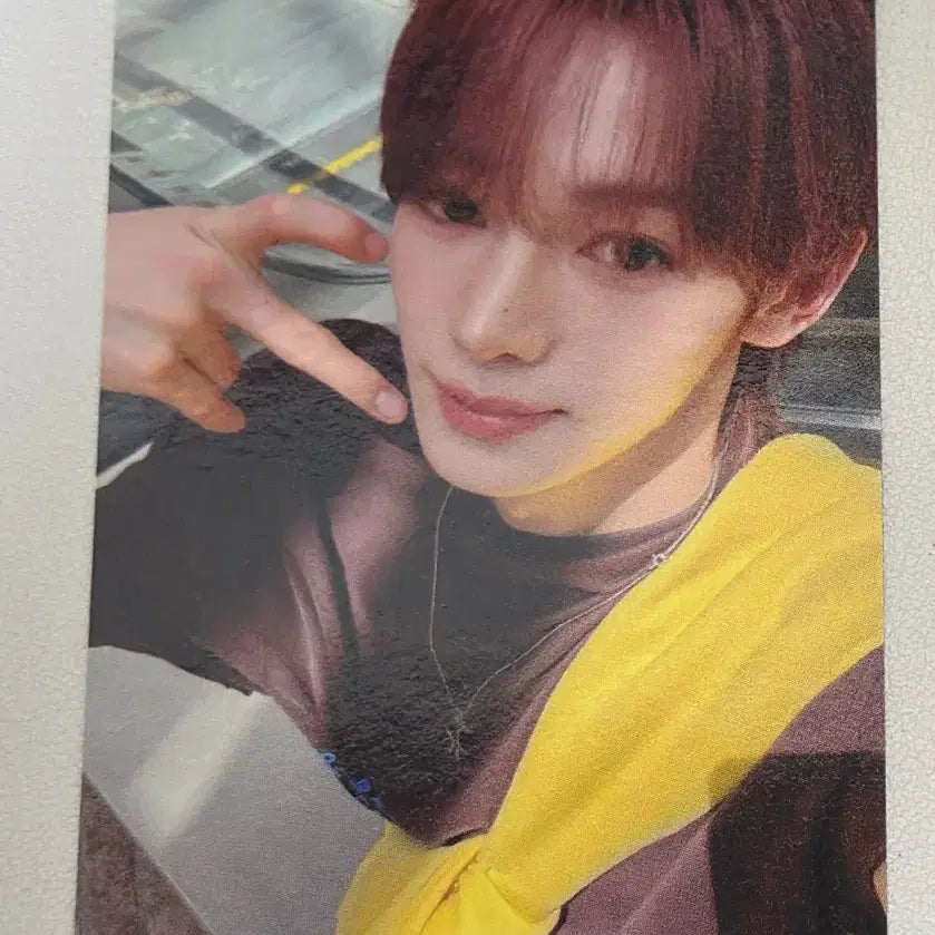 [BUNJANG] TWS Hanjin Bundle Set Photocard / 투어스 TWS 한진 포카 일괄 판매
