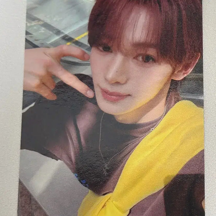 [BUNJANG] TWS Hanjin Bundle Set Photocard / 투어스 TWS 한진 포카 일괄 판매