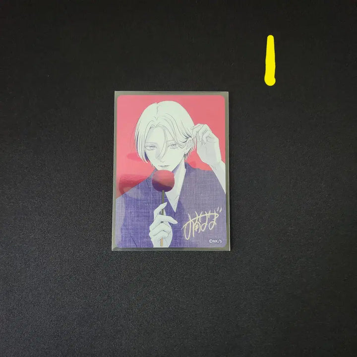 [BUNJANG] Natsukomi 2026 Limited Edition Metal Holo Card / 나츠코미 2026 한정판 메탈 홀로(메타키라) 카드 판매