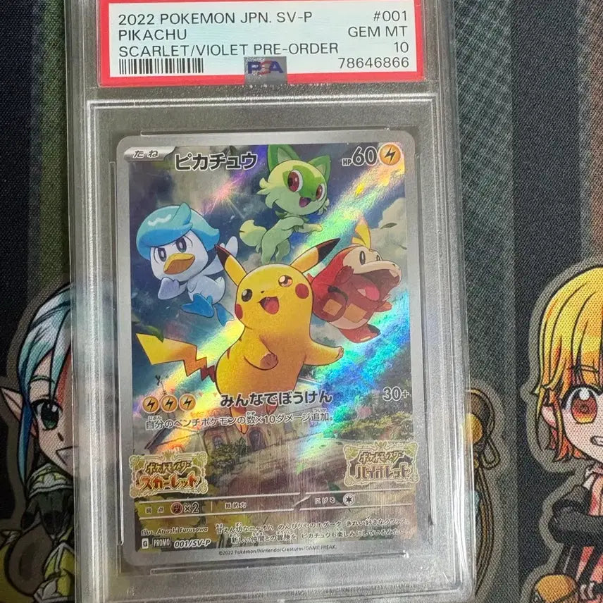 [BUNJANG] Pikachu Japanese PSA 10 Graded Card / 스바츄(피카츄) 일판 PSA 10등급 판매