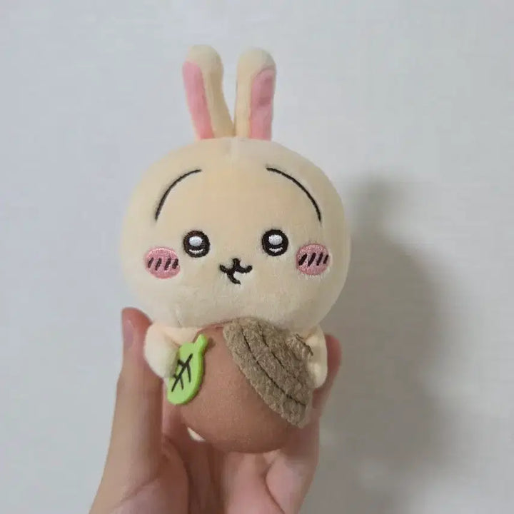 [BUNJANG] Chiikawa Acorn Usagi Kuji Mascot / 치이카와 도토리 우사기 쿠지 마스코트